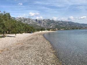 a beach with trees and water and mountains in the background at Apartments Paklenica in Starigrad-Paklenica