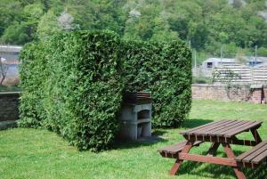 un gran arbusto verde junto a una mesa de picnic y un banco en Logement cosy à Durbuy, en Durbuy