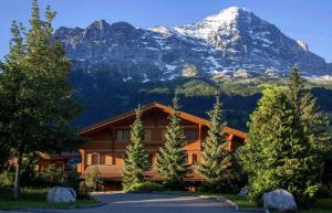 a log cabin with a mountain in the background at Billabong in Grindelwald