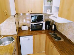 Kuchyňa alebo kuchynka v ubytovaní Apartment Archa Poděbrady