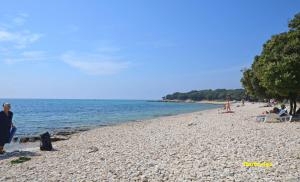 Phong cảnh thiên nhiên gần nhà nghỉ dưỡng