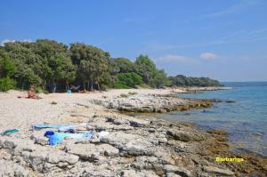 Phong cảnh thiên nhiên gần nhà nghỉ dưỡng