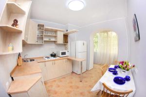 A kitchen or kitchenette at Комфортные двухкомнатные апартаменты в центре города Самал 2