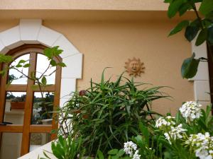 a clock on the side of a building with plants at Apartments Jani in Hvar