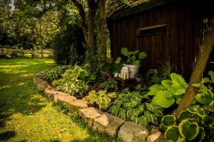 希德沃維茨的住宿－Lodownia，一座花园,旁边是一盆植物