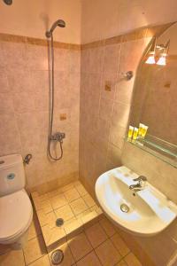 アイオス・キリコスにあるPlumeria Floweryのバスルーム(トイレ、洗面台、シャワー付)