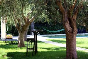 A garden outside Petit Hotel Es Figueral