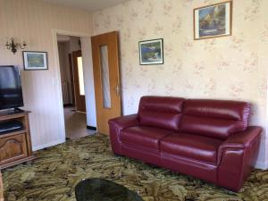 a red leather couch in a living room with a tv at Chez Stan in Mercury