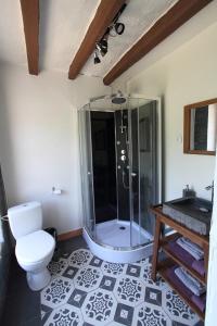 a bathroom with a shower and a toilet and a sink at Domaine Du Moulin Neuf in Ambillou