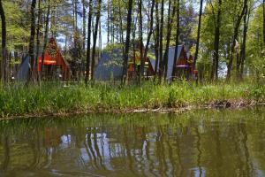 un grupo de tiendas de campaña en el bosque al lado de un cuerpo de agua en Ośrodek Wypoczynkowo-Turystyczny Perła Krutyni, en Nowy Most