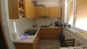 a small kitchen with wooden cabinets and a sink at Apartmán Tatry Tatranská Štrba in Tatranska Strba