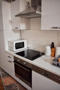Kuchyň nebo kuchyňský kout v ubytování Apartment Zrinjevac