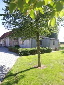 ein Baum im Gras vor einem Gebäude in der Unterkunft Het Ruytershuys in Tielt