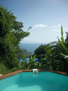 a swimming pool with a view of the ocean at mango tree lodge in Bouillante