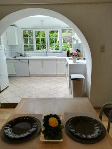 una cocina con una mesa con dos placas negras. en Le Memagne, en Florenville