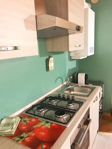 uma cozinha com uma placa de fogão com tomates em House of artist em Bérgamo