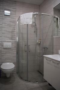 a bathroom with a shower with a toilet and a sink at Apartments and Rooms Lux in Senj +55 photos