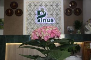 Certifikát, hodnocení, plakát nebo jiný dokument vystavený v ubytování Pinus Hotel
