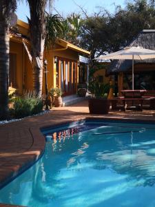 a swimming pool with ducks in the water at 3 Brothers B&B in Edenvale