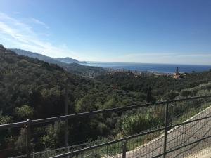 Φυσικό τοπίο κοντά σε αυτό το διαμέρισμα