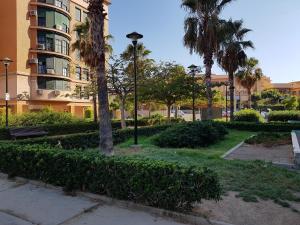 マラガにあるApartamento Málagaのヤシの木と建物のある公園