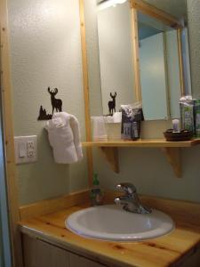 a bathroom counter with a sink and a mirror at Glacier Haven Inn in Pinnacle