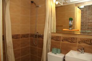 a bathroom with a shower and a toilet and a sink at Pokoje Gościnne in Niedzica Zamek +26 photos