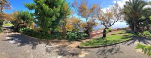 a park with trees and a garden with grass at Albatroz Beach & Yacht Club in Santa Cruz