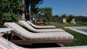 フィエーゾレにあるPalagetto di Settignanoの芝生の長椅子