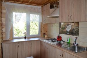 a kitchen with a sink and a stove and a window at Липинський in Lipiny