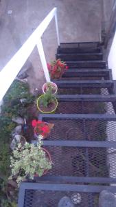 Billede fra billedgalleriet på La Cima Alta Gracia i Alta Gracia