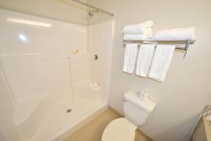 a bathroom with a toilet and a shower and towels at The Madison Inn in Spokane