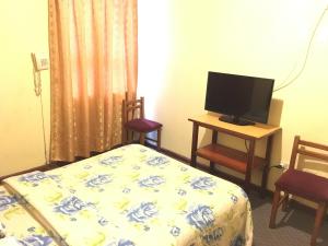 TV a/nebo společenská místnost v ubytování Hotel Mandarin