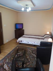 a living room with a bed and a tv at Near center in Petroşani