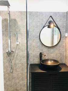 uma casa de banho com um lavatório e um chuveiro com um espelho. em Studio 4 personnes avec piscine, tennis em Hyères