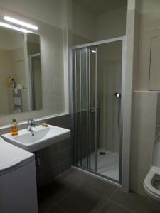 a bathroom with a shower and a sink and a toilet at Apartment Potter in Brno