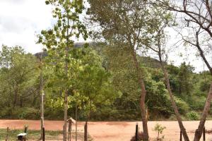 Paesaggio naturale nelle vicinanze della stanza in casa privata