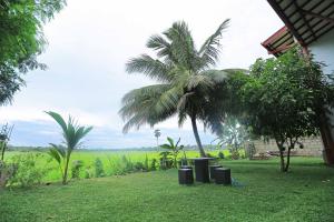 a yard with a palm tree and trash cans at Serene View Tourist Rest in Anuradhapura
