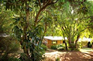 A garden outside Peppermint Brook Cottages