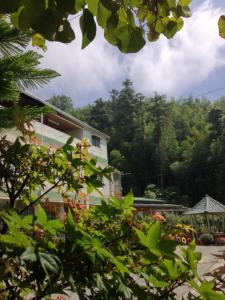 - une vue sur la maison depuis le jardin dans l'établissement Alishan Mao Hsin, à Fenchihu