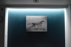 Fotografia z galérie ubytovania ForRest Apartment Krynica v Krynici-Zdrój