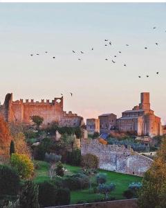 Ein Vogelschwarm, der über eine alte Burg fliegt. in der Unterkunft Tuscania Terme Suites Apartments in Tuscania