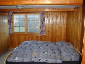 ein Schlafzimmer mit einem Bett in einem Zimmer mit einem Fenster in der Unterkunft Ferienhaus Gubel in Alt Sankt Johann