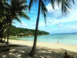 a beach with two palm trees and the ocean at Amber Residence - SHA Plus in Patong Beach