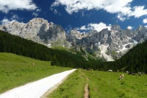 Photo de la galerie de l'établissement Appartamento Bosco Fontana a Predazzo, à Predazzo