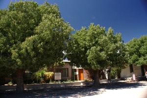a row of trees in front of a building at AshTree GuestHouse in Hanover