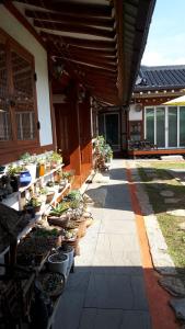 a patio with potted plants and a building at Hanok Raon in Gyeongju