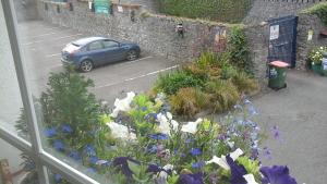 Giardino di An Stór Townhouse