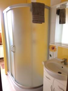 um chuveiro com uma porta de vidro ao lado de um lavatório em Guest house on Ivana Franka em Novyye Petrovtsy