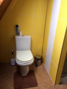 a bathroom with a toilet in a yellow wall at Guest house on Ivana Franka in Novyye Petrovtsy
